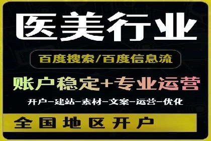 百度SEO推广公司案例分析：成功案例解析